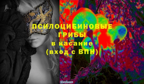 мдпв Абаза
