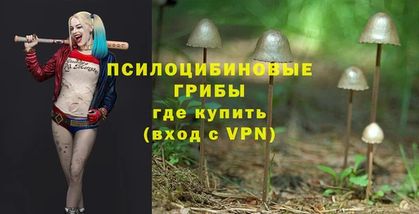 мдпв Абаза